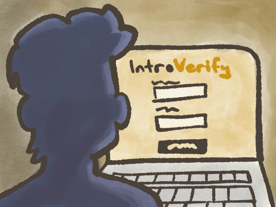 A potential buyer entering the verification flow